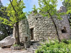 -原山国家森林公园