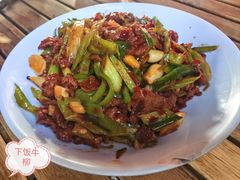 -柴窝堡22号辣子鸡·传承新疆菜