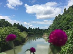 -紫颐香薰山谷景区