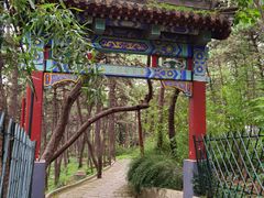 -红螺寺