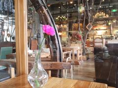 -Africafe(非洲咖啡)