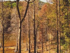 -广州市白云山风景名胜区