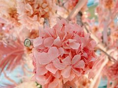 -皇城恒隆广场