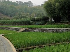 -龙头寺公园