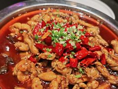 -美蛙四季(黄寺大街店)