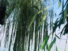 -东湖听涛景区