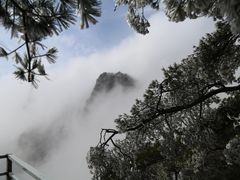 -秦岭天竺山景区