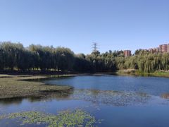 -东坝千亩湖公园