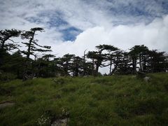 景点-朱雀国家森林公园