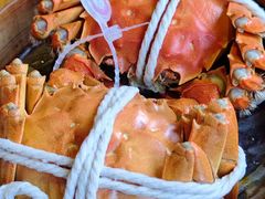 -鑫震源·苏式大虾生煎(山塘街店)