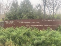 -东郊湿地公园