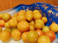 -石鼎香·非遗淮扬火锅(江都龙川桥店)