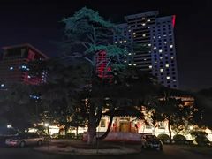 -南京钟山宾馆(江苏省会议中心)