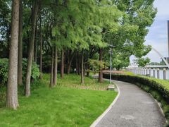 -陈家山荷花公园