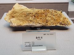 -湖南省地质博物馆