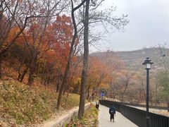 -白水寺森林公园