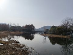 -长广溪湿地公园