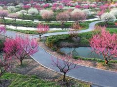 -上海海湾国家森林公园