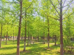 -西北农林科技大学(北校区)