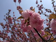 -漕溪路(地铁站)