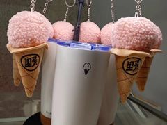 -野人先生现做冰淇淋(北京环宇荟店)