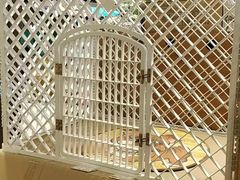 -龟与熊猫宠物公园(南坪店)
