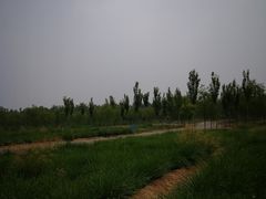 -西青郊野公园