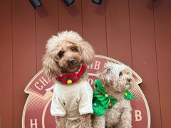 -华谊兄弟（长沙）电影小镇