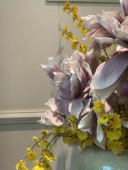 -静博士·养生养颜