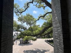 -江心屿景区