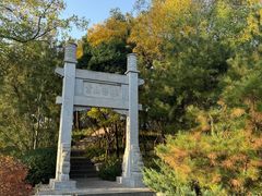 -迎泽公园