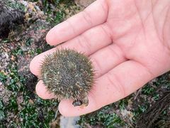 -嵊泗基湖沙滩