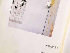 -新沙洞咖啡(泉乐坊店)