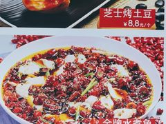 -天天鱼港