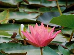 -白鹭湾湿地公园