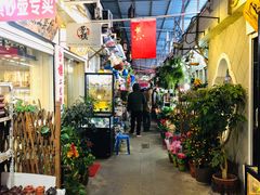 -万商花鸟市场