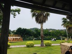 -音乐广场