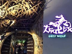 -大灰狼(中心书城店)