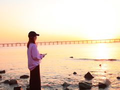 -宝安西湾红树林湿地公园