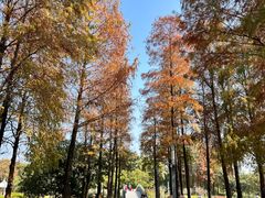 -四海公园(南山区)