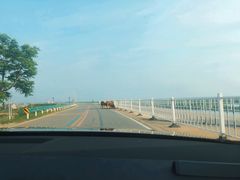 -鄱阳湖国家湿地公园