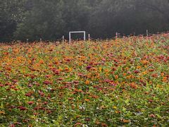 -祥源·阜阳生态乐园