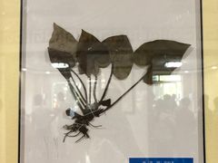 -杭州市萧山区中医院