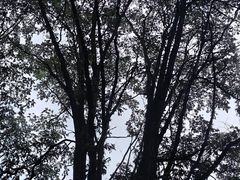 -黑龙江省森林植物园