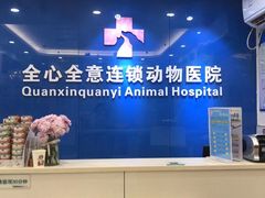 -全心全意连锁动物医院·微创中心·内科急重症·心脏专科(丰管路店)