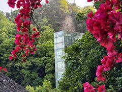 -巴倒烫陆派火锅山庄(南山总店)