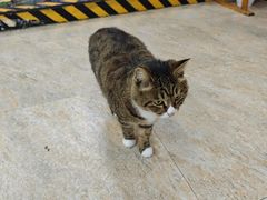 -九寨沟石锅鱼(沣峪口店)