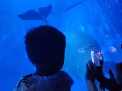 -多彩贵州城极地海洋世界