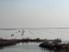 -盐城丹顶鹤湿地生态旅游区