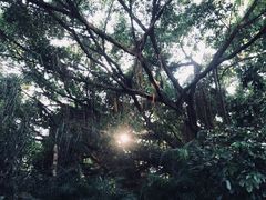 -台山颐和温泉城
